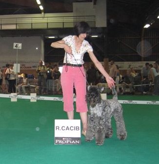 CH. Udson blue de Glenderry