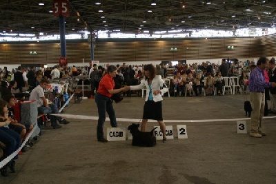 de Glenderry - LYON 2011 SPECIALE