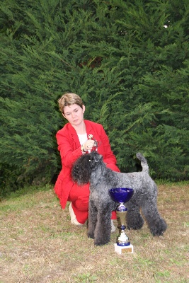de Glenderry - NATIONALE D ELEVAGE 2008