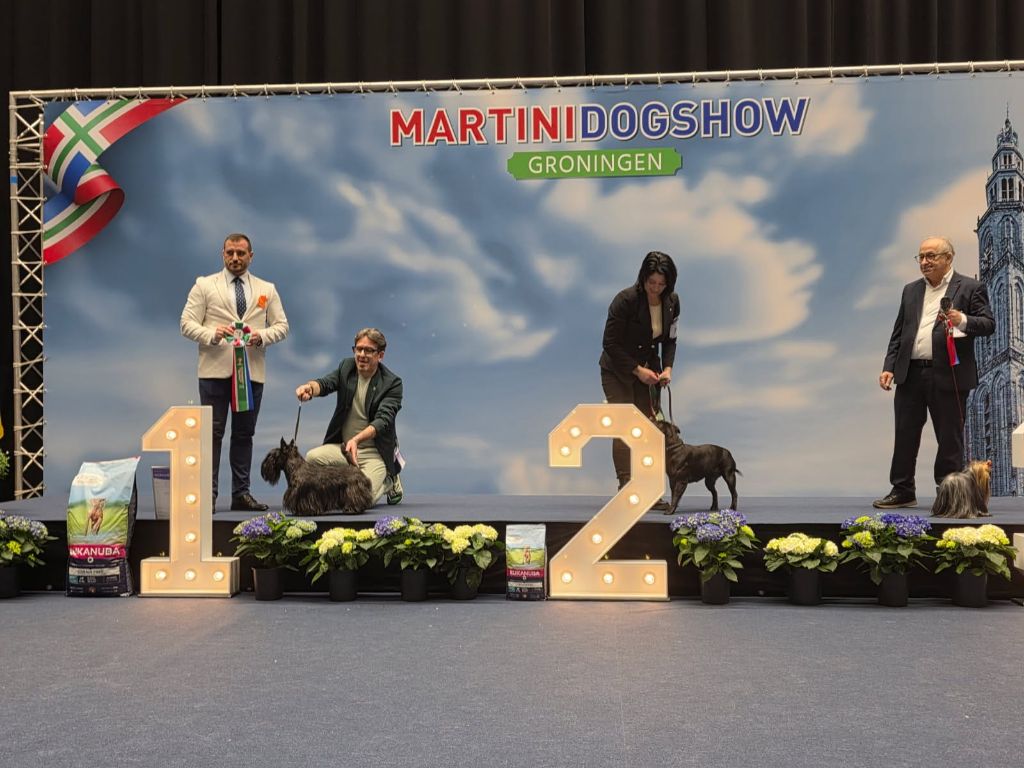 de Glenderry - Champion de Belgique pour SMART