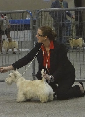 de Glenderry - AVIGNON 2012 SPECIALE