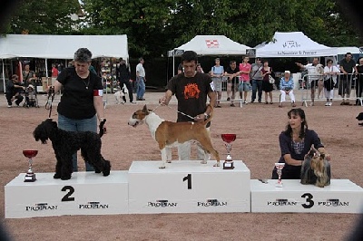 de Glenderry - CHATEL GUYON